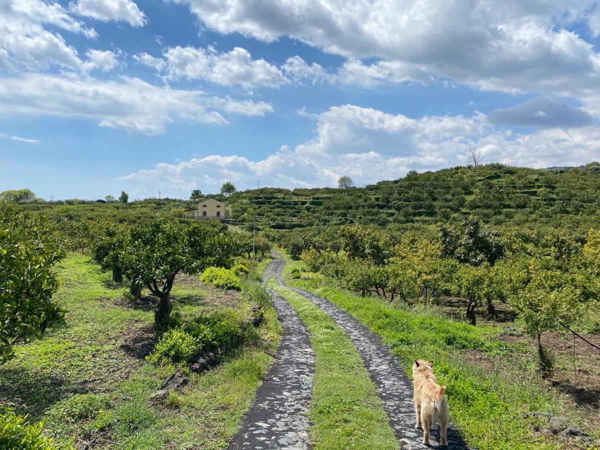 Agriturismo Le Case Di Civi Маскали Экстерьер фото